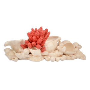 CENTRO DE MESA EM CONCHAS E CORAL FEITOS EM FAIANÇA