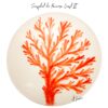 PRATO DECORATIVO CORAL COAST-II (1)