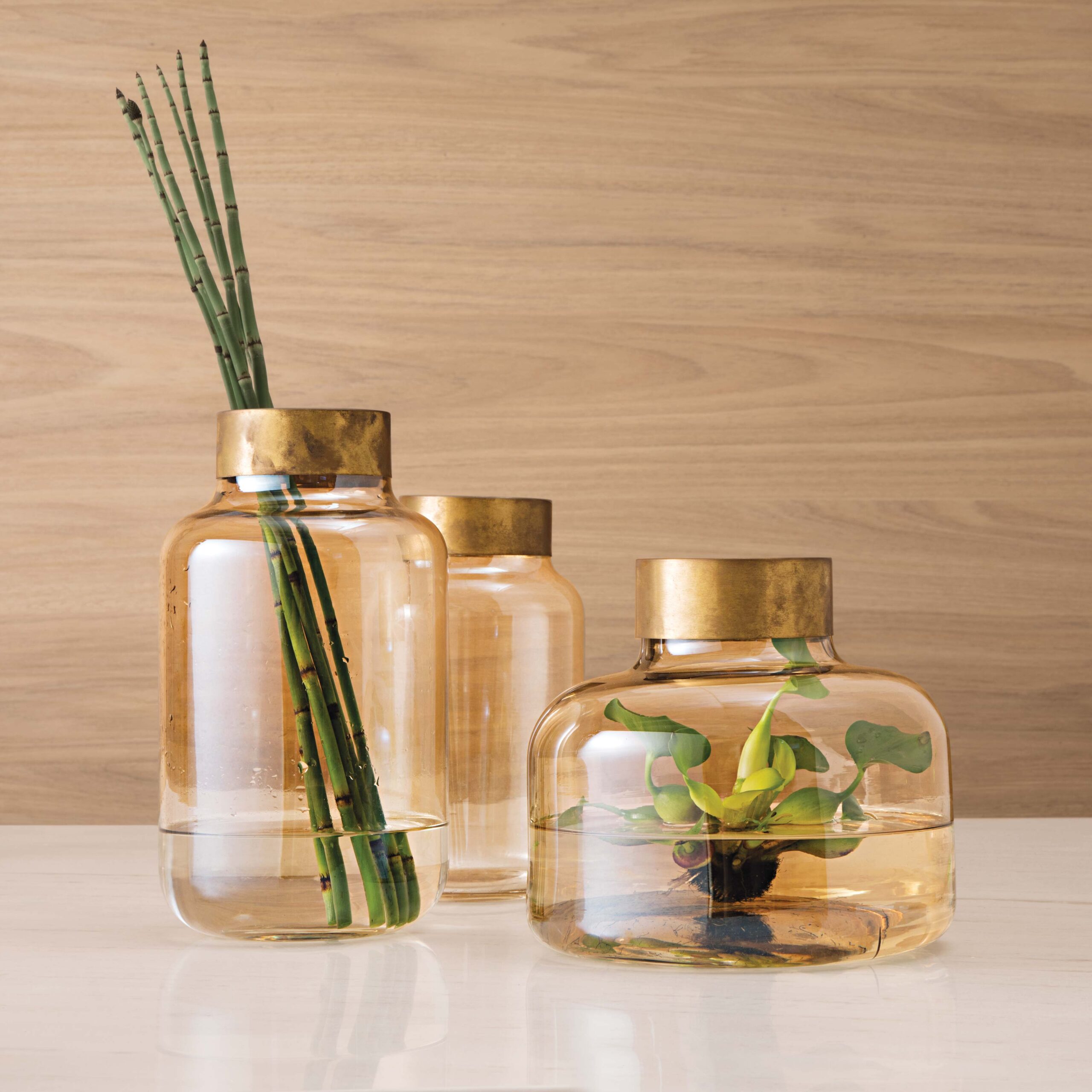 VASO DE VIDRO GOLD NEFERTY (2)