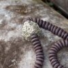COLAR CERÂMICA PRETA E PIRITA-M (4)