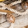 COLAR DECORATIVO BÚZIOS MARFIM (3)