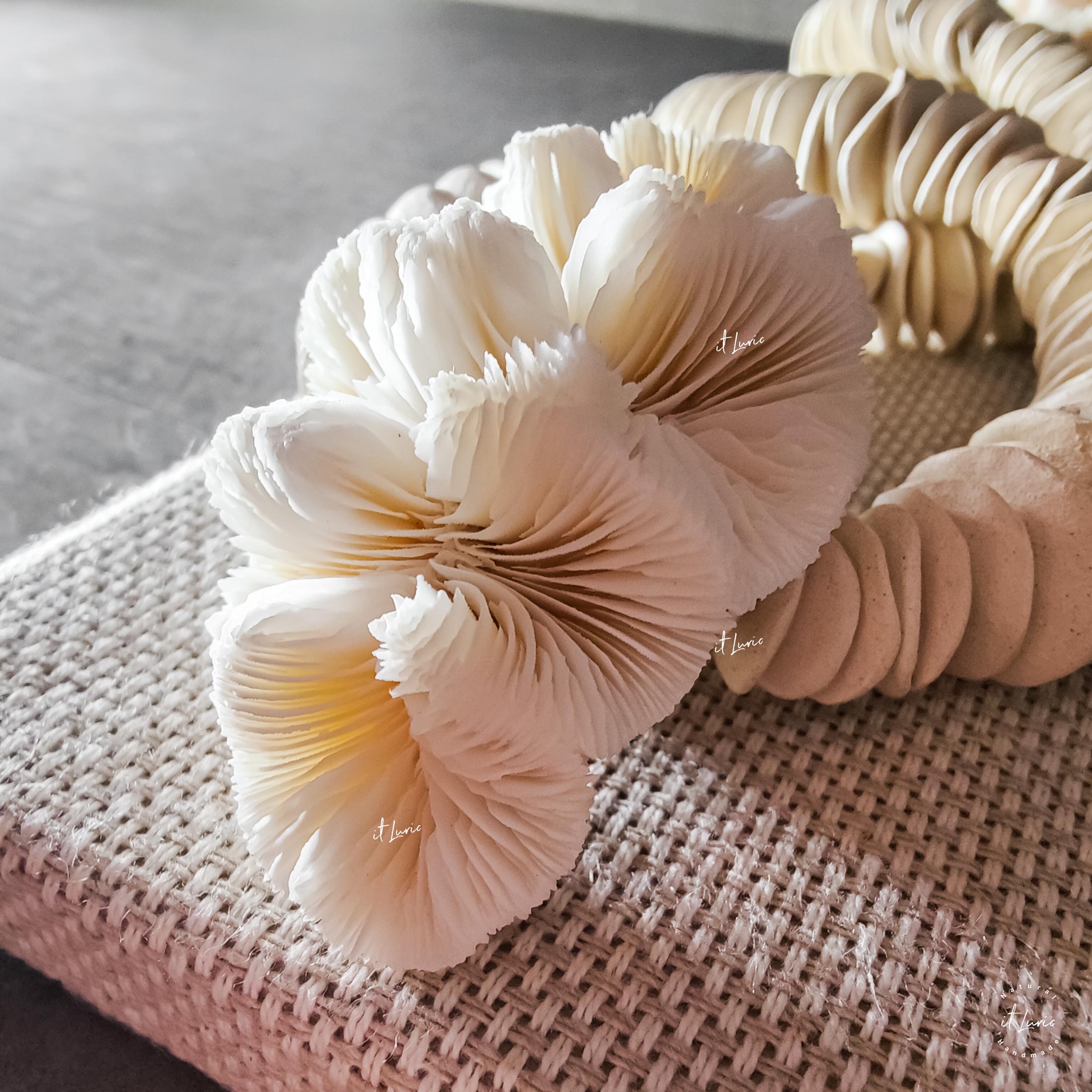 Cúpula Acrílica com Colar Cerâmica Orgânica Branca e Corais