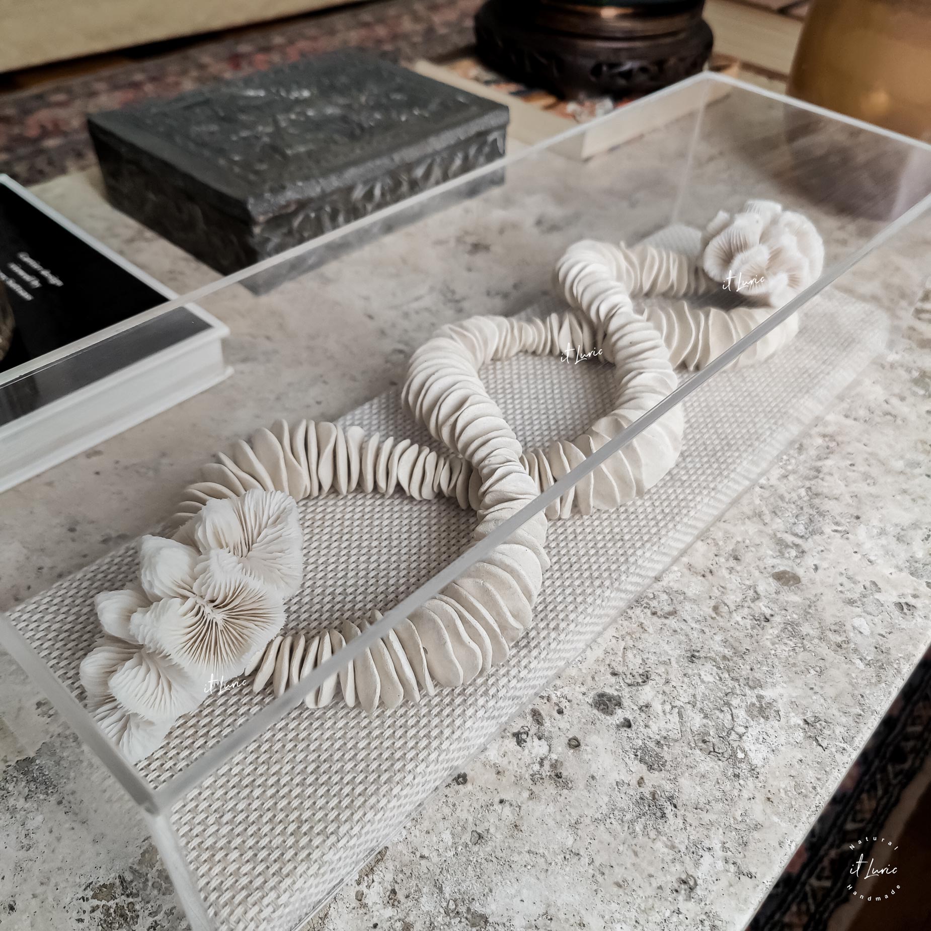 Cúpula Acrílica com Colar Cerâmica Orgânica Branca e Corais