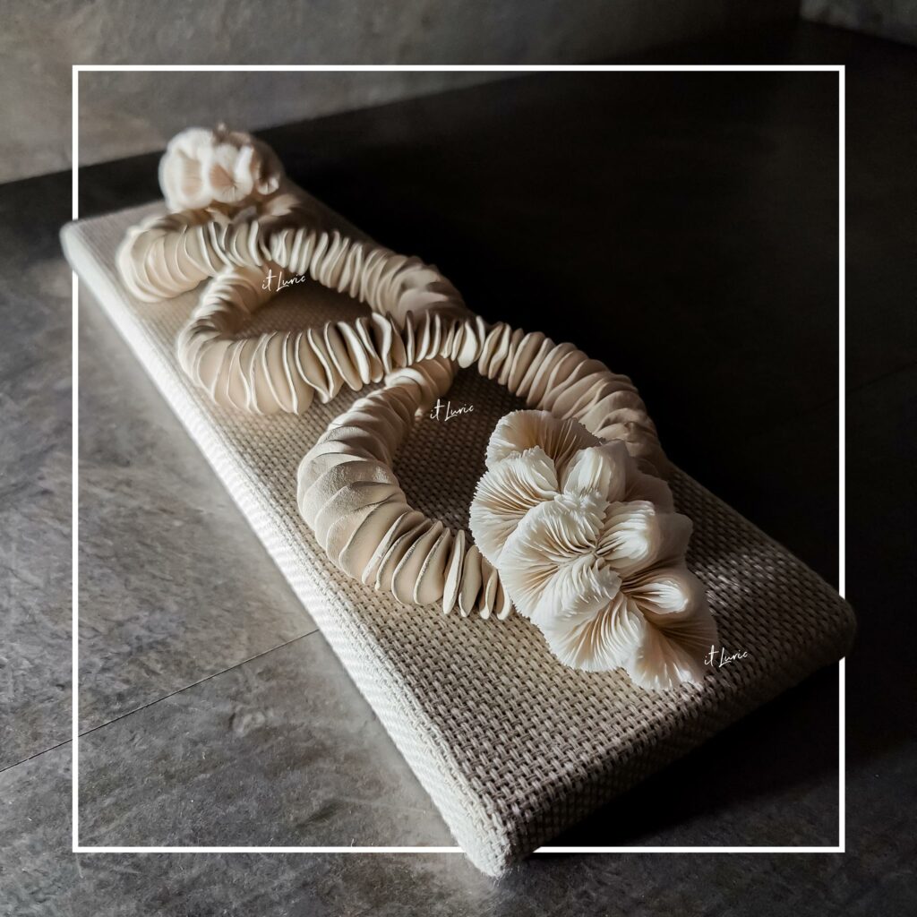 Cúpula Acrílica com Colar Cerâmica Orgânica Branca e Corais